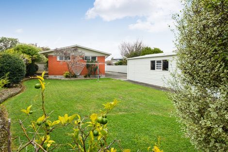 Photo of property in 1 Essex Place, Milson, Palmerston North, 4414