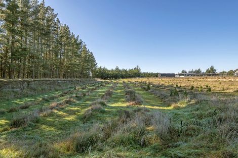 Photo of property in 148 Mchughs Road, Swannanoa, 7692