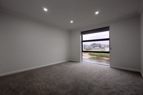 Photo of property in 66 Michael Bosher Way, Flat Bush, Auckland, 2019