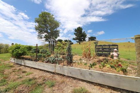 Photo of property in 420 Duncan Road, Kaingaroa, Kaitaia, 0482