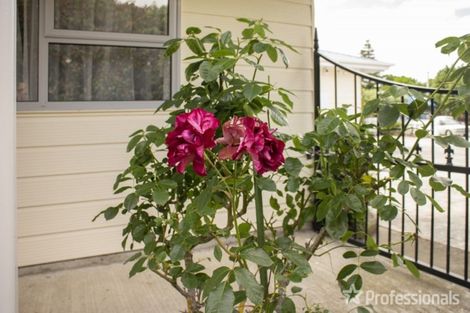 Photo of property in 90 Solway Crescent, Solway, Masterton, 5810