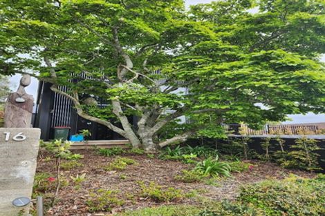 Photo of property in 16 Peace Avenue, Moturoa, New Plymouth, 4310