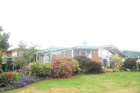 Photo of property in 6 Williams Drive, Te Puke, 3119