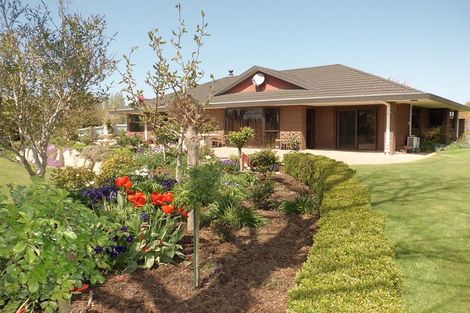 Photo of property in 10 Donald Street, Temuka, 7920