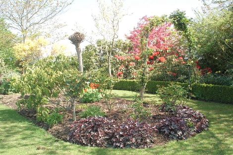 Photo of property in 10 Donald Street, Temuka, 7920