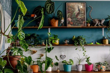 Photo of property in 84 Maori Creek Road, Marsden, Greymouth, 7872