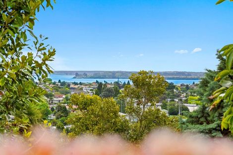 Photo of property in 61a Brookfield Terrace, Brookfield, Tauranga, 3110