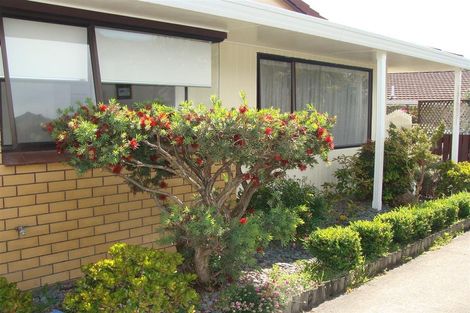 Photo of property in 2/478 Devonport Road, Tauranga South, Tauranga, 3112