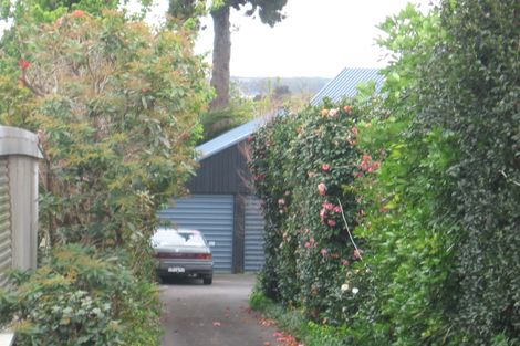Photo of property in 19 Western Road, Otumoetai, Tauranga, 3110