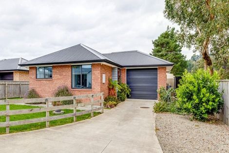 Photo of property in 24 Pitt Street, Pahiatua, 4910