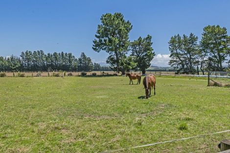 Photo of property in 575 Bangor Road, Darfield, 7571