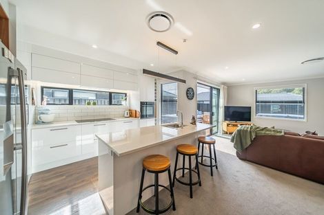 Photo of property in 117 Mawai Hakona Drive, Wallaceville, Upper Hutt, 5018