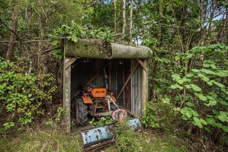 Photo of property in 245 Mccoy Road, Wainui, Opotiki, 3198