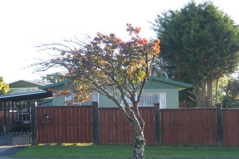 Photo of property in 116 Elizabeth Drive, Tokoroa, 3420