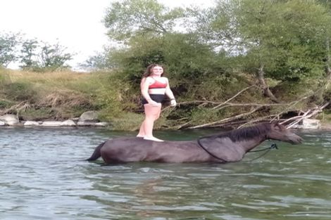 Photo of property in 132 Peach Island Road, Brooklyn, Motueka, 7196