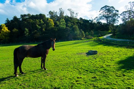 Photo of property in 673g Riverside Road, Matokitoki, Gisborne, 4071
