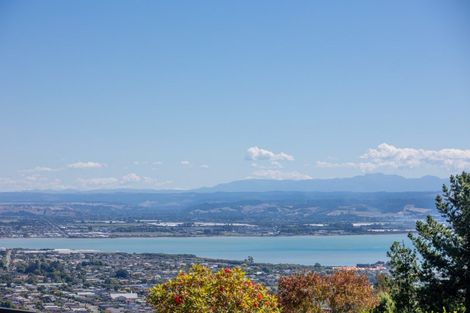 Photo of property in 367 Princes Drive, Britannia Heights, Nelson, 7010