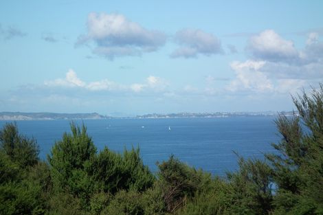 Photo of property in 31 Woods Ridge Road, Kawau Island, 0920