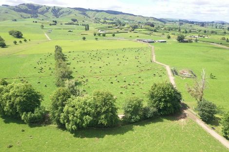 Photo of property in 231 Grice Road, Rotoorangi, Cambridge, 3495