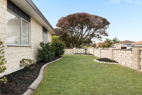 Photo of property in 203a Grenada Street, Mount Maunganui, 3116