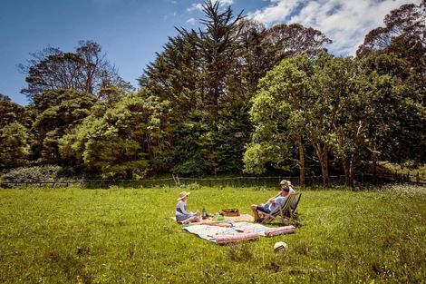 Photo of property in 7 Greendale Drive, Otaihanga, Paraparaumu, 5036