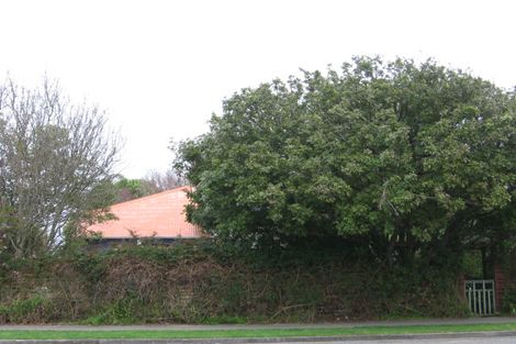 Photo of property in 43 Trafalgar Street, Levin, 5510