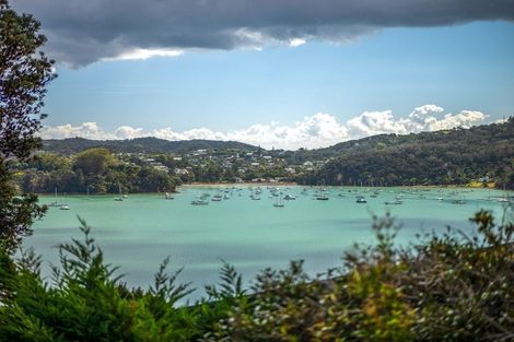 Photo of property in 202 Te Wahapu Road, Russell, 0272