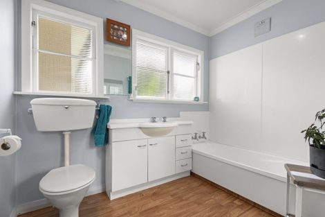 Photo of property in 38a Manson Street, Terrace End, Palmerston North, 4410