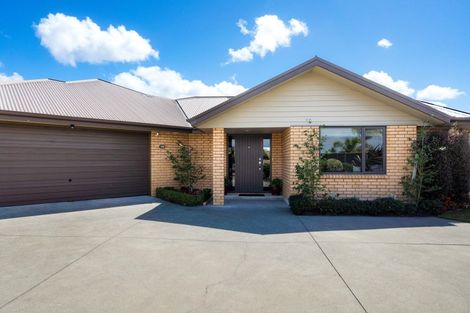 Photo of property in 17 Northwood Avenue, Mahora, Hastings, 4120