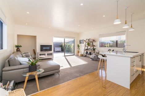 Photo of property in 24b Hargest Crescent, Saint Kilda, Dunedin, 9012