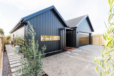 Photo of property in 43c Derby Street, Feilding, 4702