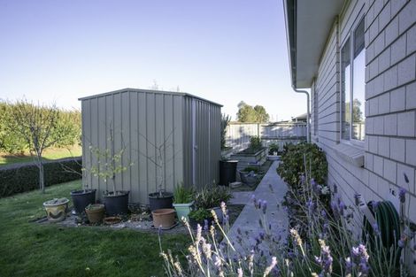 Photo of property in 12 O'sullivan Drive, Matamata, 3400