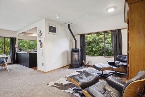 Photo of property in 43 Pacific Street, Roslyn, Dunedin, 9010