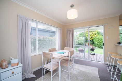 Photo of property in 17a Franklin Avenue, Hokowhitu, Palmerston North, 4410