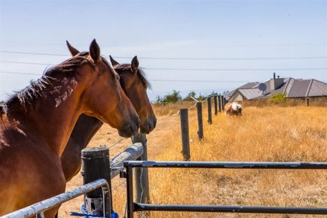 Photo of property in 200a Forestry Road, Ashley, Rangiora, 7477