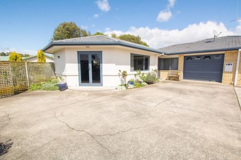 Photo of property in 63 Solomon Street, Brookfield, Tauranga, 3110