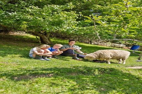 Photo of property in 19 Castleton Way, Flagstaff, Hamilton, 3210