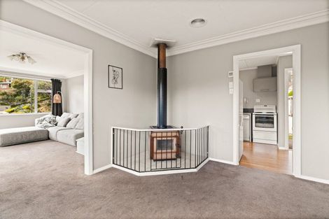 Photo of property in 43 Bryant Street, Kenmure, Dunedin, 9011