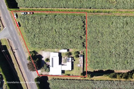Photo of property in 186 Beach Road, Katikati, 3178