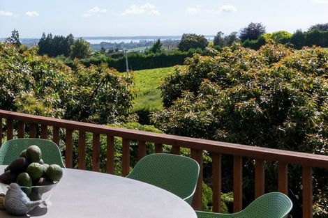 Photo of property in 313 Youngson Road, Whakamarama, Tauranga, 3179