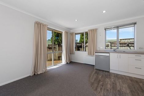 Photo of property in 129d Maeroa Road, Maeroa, Hamilton, 3200