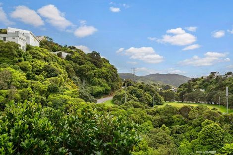 Photo of property in 9 Waiapu Road, Kelburn, Wellington, 6012