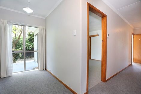 Photo of property in 8 Nairn Crescent, Awapuni, Palmerston North, 4412