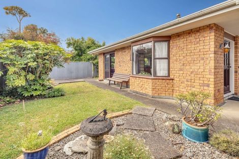 Photo of property in 56b Queen Street West, Levin, 5510