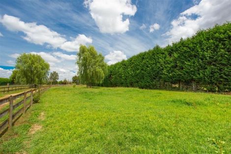 Photo of property in 179 Hautapu Road, Pukemoremore, Cambridge, 3493