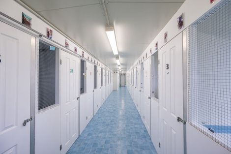 Photo of property in 236a Lord Rutherford Road, Brightwater, 7091