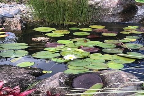 Photo of property in 20b Cambridge Road, Riverhead, 0820