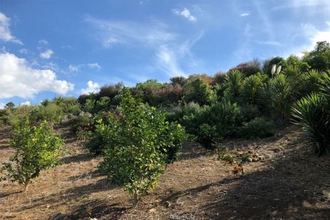 Photo of property in 83 Reinga Road, Kerikeri, 0230