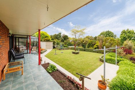 Photo of property in 23 Park View Avenue, Feilding, 4702