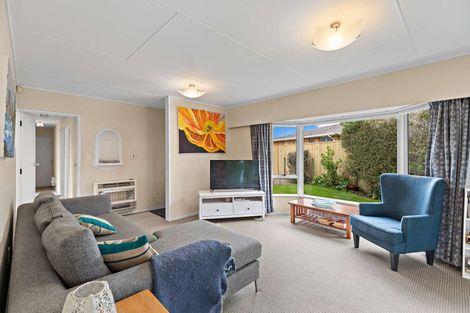 Photo of property in 19a Burn Street, Levin, 5510